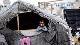 गाजा के टेंटों में चूहों का तांडव: सोते हुए बच्चों को काट रहे चूहे, 20 लाख विस्थापित खतरे में