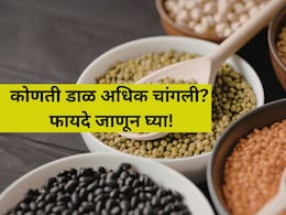 Health Tips: उडीद, मूग, हरभरा, मसूर... कोणती कडधान्ये अधिक फायदेशीर? जाणून घ्या गुणधर्म