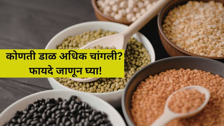 Health Tips: उडीद, मूग, हरभरा, मसूर... कोणती कडधान्ये अधिक फायदेशीर? जाणून घ्या गुणधर्म