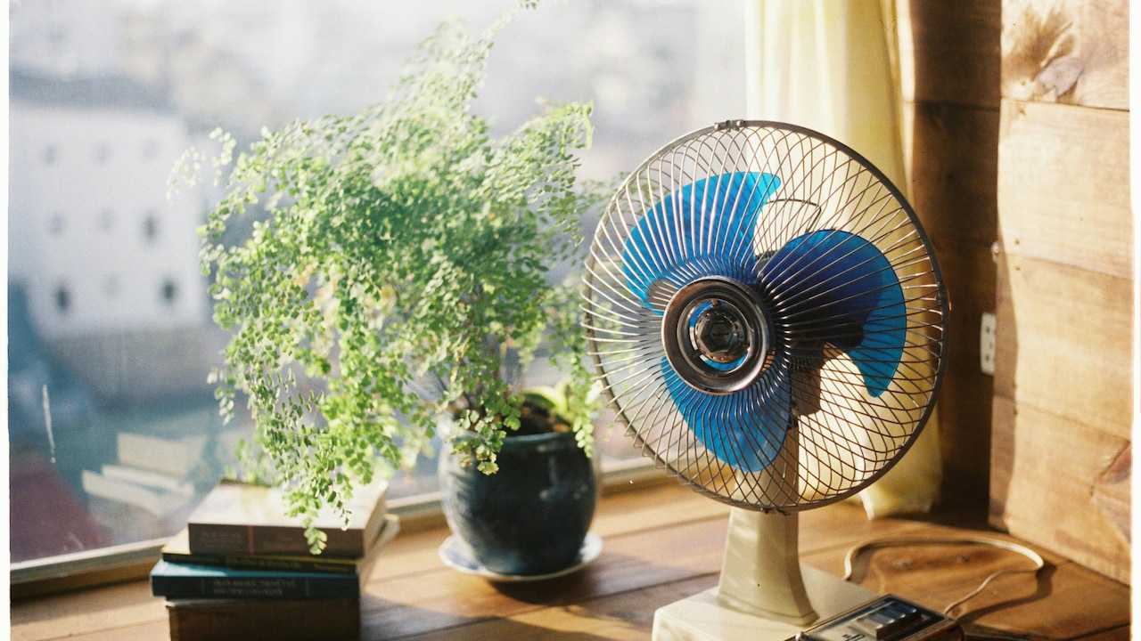 Compact Table Fans With Strong Airflow: Smart Cooling Solutions for Every Home