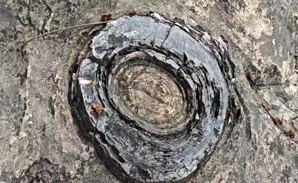 क्या UP में यहीं हुई थी जीवन की शुरुआत? 160 करोड़ साल पुराना फॉसिल्स पार्क UNESCO पहचान की राह पर