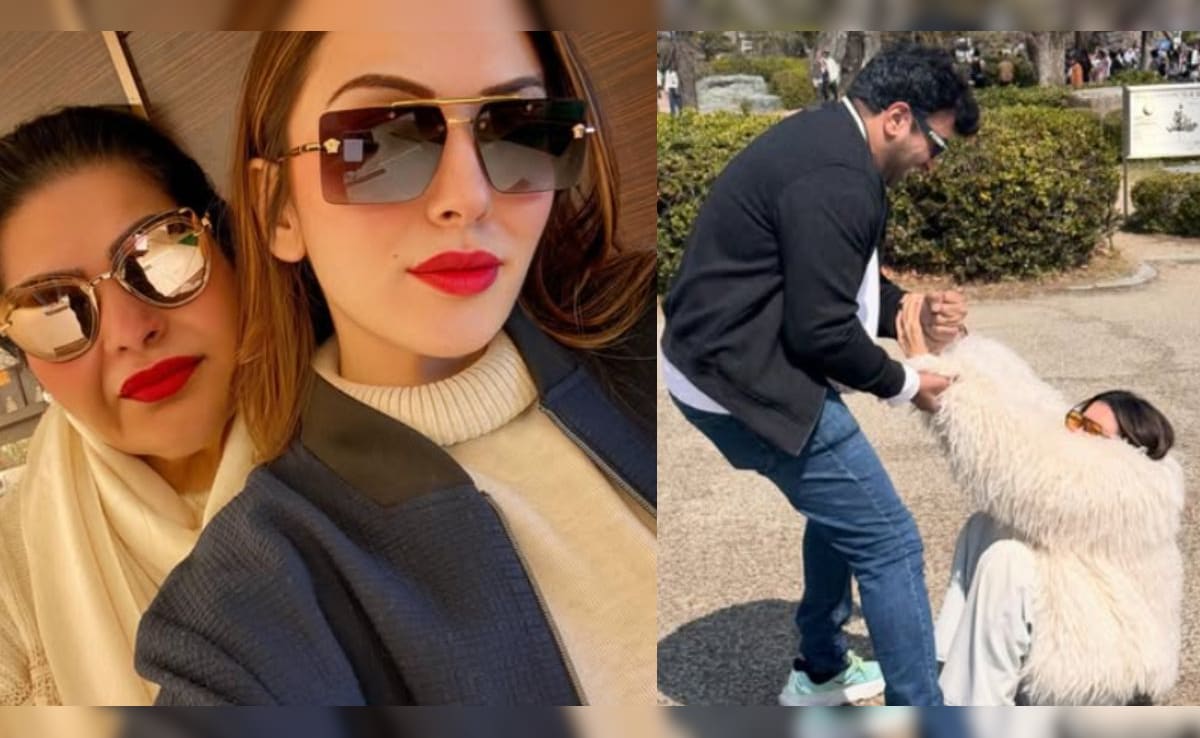 The Art of Baking: From Classic Bread to Artisan Pastries