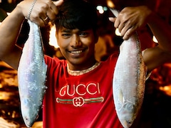 अगले 2 महीने बंगाल की खाड़ी में मछली नहीं पकड़ पाएंगे बांग्लादेशी मछुआरे, बैन के बदले मिलेगा 77 KG चावल