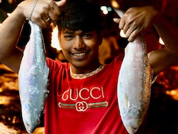 अगले 2 महीने बंगाल की खाड़ी में मछली नहीं पकड़ पाएंगे बांग्लादेशी मछुआरे, बैन के बदले मिलेगा 77 KG चावल