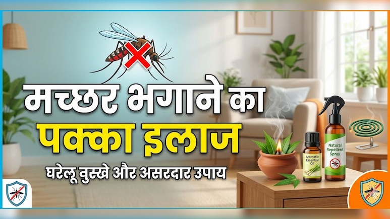 न क्वाइल का धुआं, न बदबू, घर में लगाएं ये पौधा, आस-पास नहीं भटकेंगे मच्छर