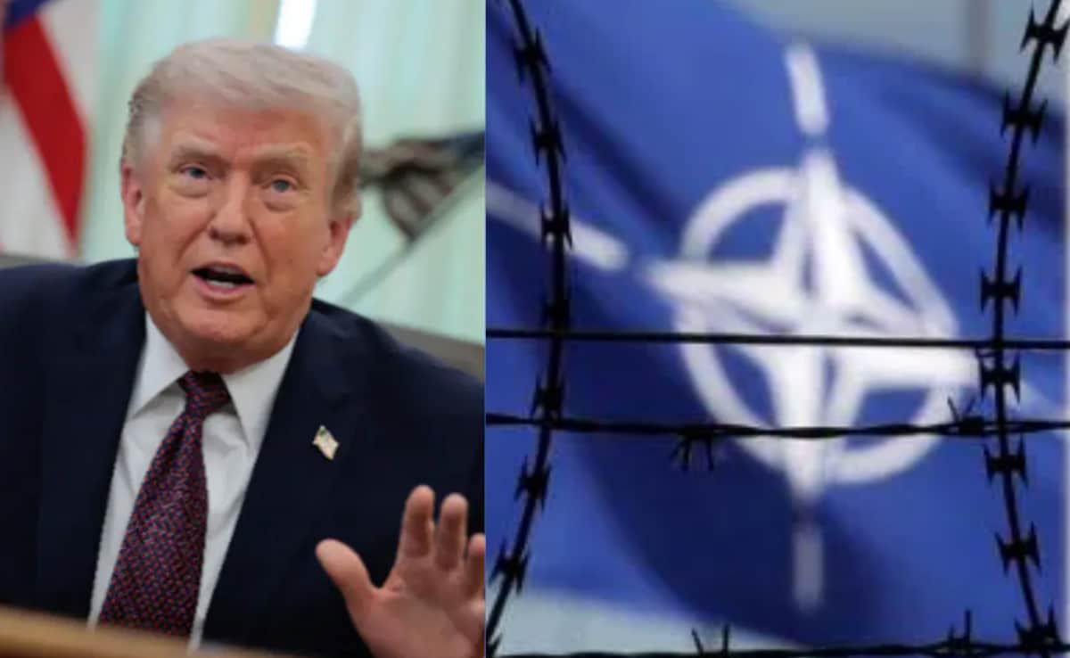 Is NATO Still Run By US As Trump Calls It 'Paper Tiger', Threatens To Exit?