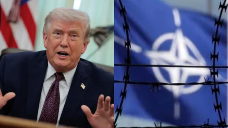 Is NATO Still Run By US As Trump Calls It 'Paper Tiger', Threatens To Exit?