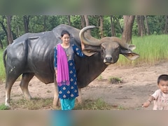 Bihar : 4 महीने की गर्भवती महिला सिपाही की मौत, 1 साल पहले की थी लव मौरिज, परिजनों ने लगाया दहेज का आरोप