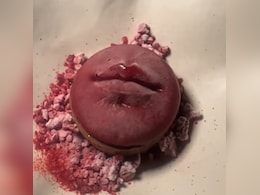 Chef's Kiss Recipe: घर पर बनाएं इंस्टाग्राम पर वायरल हो रहा 'Chef&rsquo;s Kiss' Dessert