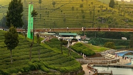 7 Perfect Places In India To Travel With Your Grandparents This Summer