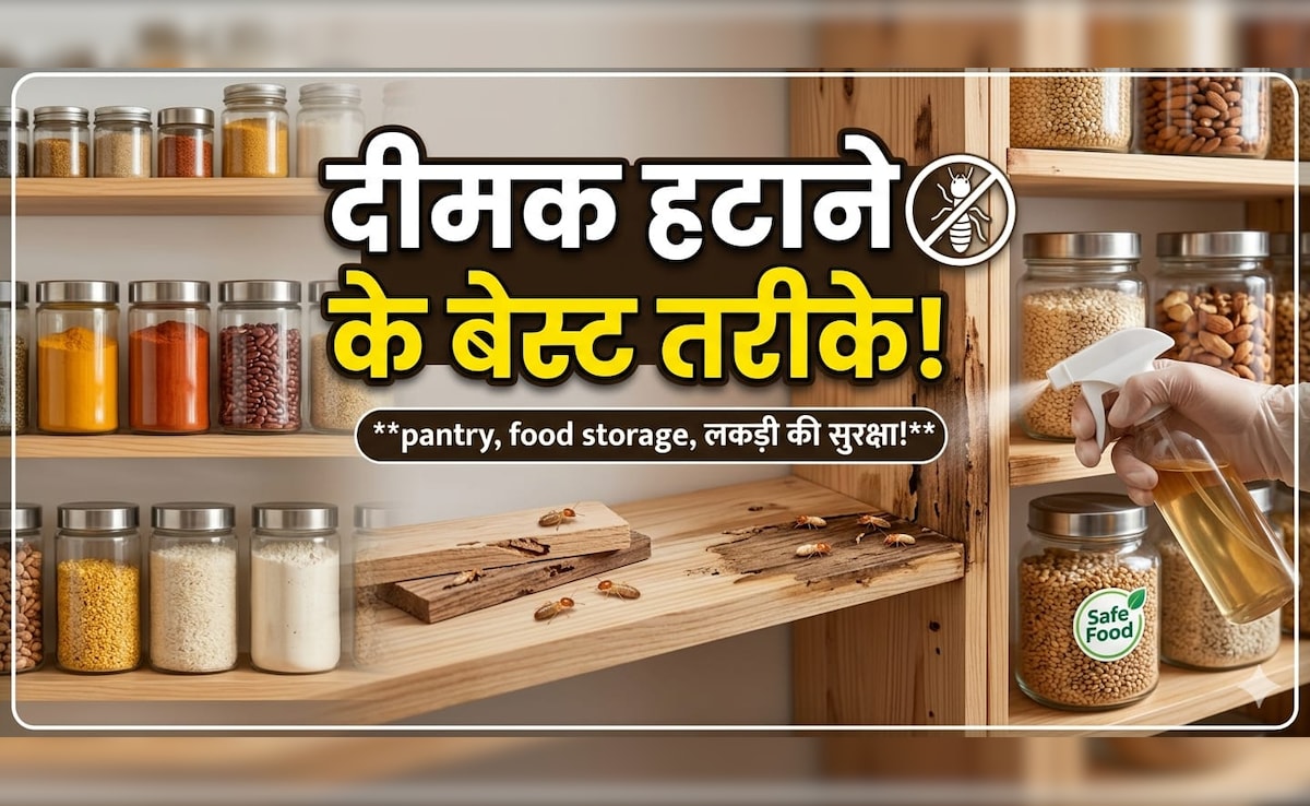 फर्नीचर, बेड और दीवारों में लग गई है दीमक? अपनाएं ये 5 देसी उपाय, मिनटों में होगा इनका सफाया