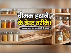 फर्नीचर, बेड और दीवारों में लग गई है दीमक? अपनाएं ये 5 देसी उपाय, मिनटों में होगा इनका सफाया