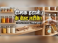 फर्नीचर, बेड और दीवारों में लग गई है दीमक? अपनाएं ये 5 देसी उपाय, मिनटों में होगा इनका सफाया