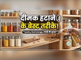 फर्नीचर, बेड और दीवारों में लग गई है दीमक? अपनाएं ये 5 देसी उपाय, मिनटों में होगा इनका सफाया