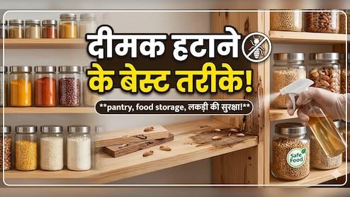फर्नीचर, बेड और दीवारों में लग गई है दीमक? अपनाएं ये 5 देसी उपाय, मिनटों में होगा इनका सफाया