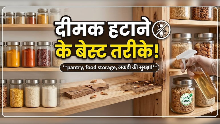 फर्नीचर, बेड और दीवारों में लग गई है दीमक? अपनाएं ये 5 देसी उपाय, मिनटों में होगा इनका सफाया