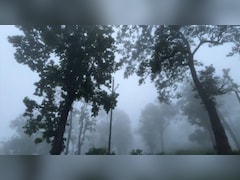 उद्योगपति आनंद महिंद्रा झारखंड की सुंदरता पर फ‍िदा, बोले- यहां बहुत कुछ है, बस हमने बताया नहीं