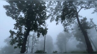 उद्योगपति आनंद महिंद्रा झारखंड की सुंदरता पर फ&zwj;िदा, बोले- यहां बहुत कुछ है, बस हमने बताया नहीं