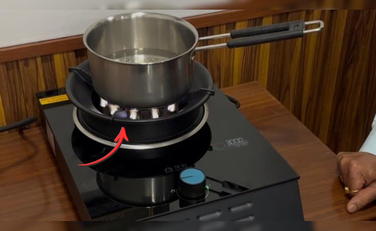 ना LPG चाहिए, ना PNG...बिजली से जलेगी इस स्टोव की लौ, आ गया नया तकनीक का चूल्हा