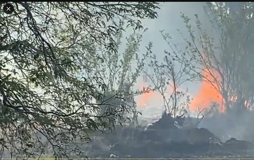 केरल के त्रिशूर में पटाखा बनाने वाली फैक्ट्री में भयंकर विस्फोट, अब तक 12 की मौत, PM मोदी ने जताया दुख