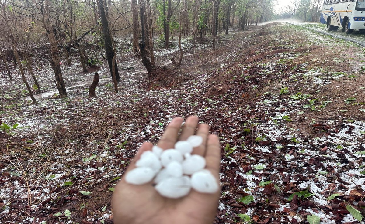 भीषण गर्मी के बीच ओलावृष्टि, हाईवे पर बिछी बर्फ; छत्तीसगढ़ में बदले मौसम से कहीं राहत-कहीं नुकसान