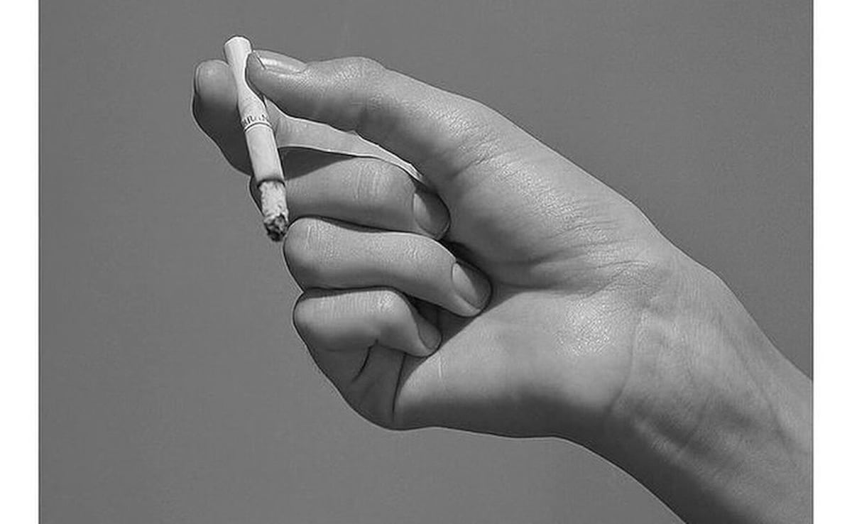 Image: Insta@happyp1ant