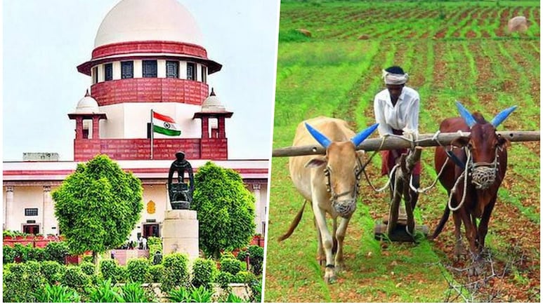 छोटे-बड़े किसानों के लिए एक जैसी पॉलिसी नहीं हो सकती... किसानों को MSP की मांग पर सुप्रीम कोर्ट ने केंद्र से मांगा जवाब