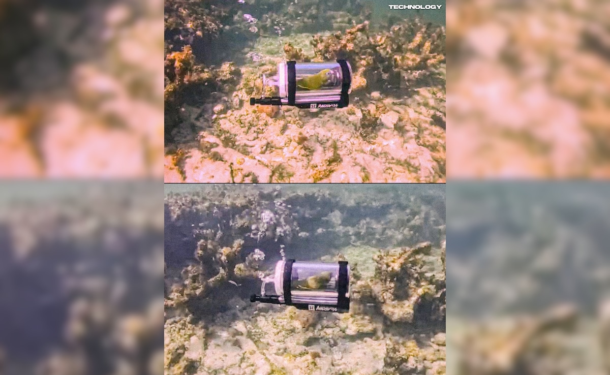 Latest and Breaking News on NDTV