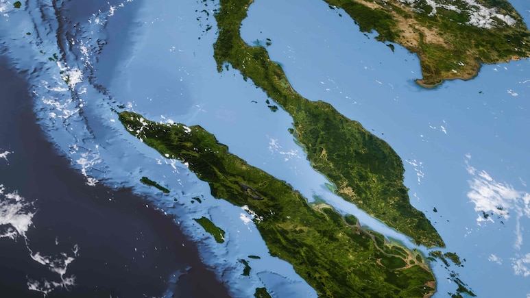 How An Indian Amla Tree Gave The Strait Of Malacca Its Name