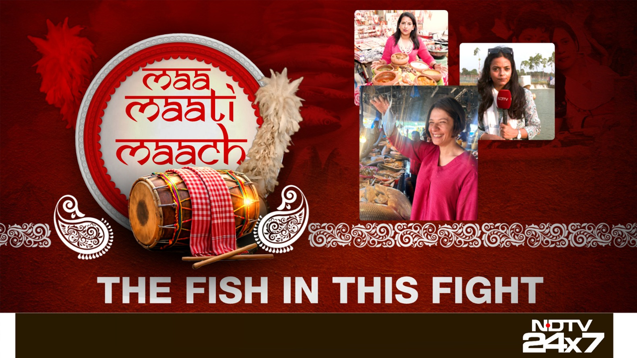 Maa, Maati, Maachh: How Fish Became The New Political Battleground In Bengal Elections