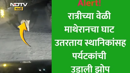 Matheran News: माथेरानमध्ये रात्रीच्या वेळेस फिरताय? धडकी भरवणारा VIDEO समोर; स्थानिकांसह पर्यटकांमध्ये घबराट