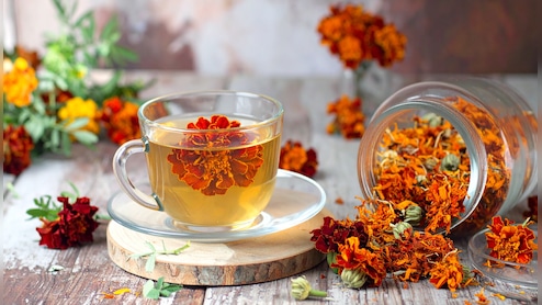 कमल, गुड़हल से मौलश्री तक, गर्मियों में ट्राई करें 'फूलों' से बनी चाय, पूरे दिन बनी रहेगी ताजगी और एनर्जी