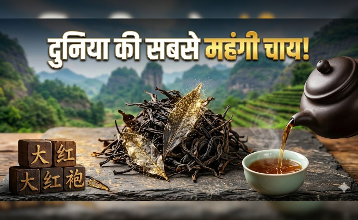 सोने से महंगी चाय! एक चुटकी चाय की कीमत में आ जाएगी लग्जरी कार