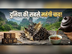 सोने से महंगी चाय! एक चुटकी चाय की कीमत में आ जाएगी लग्जरी कार