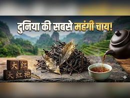सोने से महंगी चाय! एक चुटकी चाय की कीमत में आ जाएगी लग्जरी कार