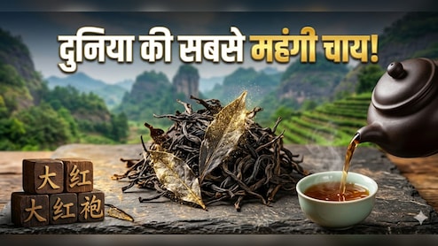 सोने से महंगी चाय! एक चुटकी चाय की कीमत में आ जाएगी लग्जरी कार