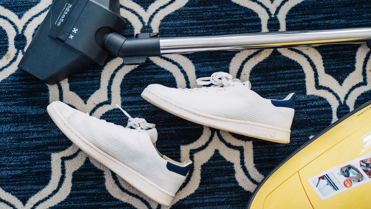 The Vacuum Cleaner Mistake Pet Owners Make While Buying Online