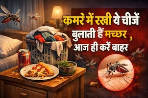 खूंटी पर टंगे कपड़े और कमरे में रखी ये 5 चीजें मच्छरों को देती हैं न्यौता, आज ही करें बाहर