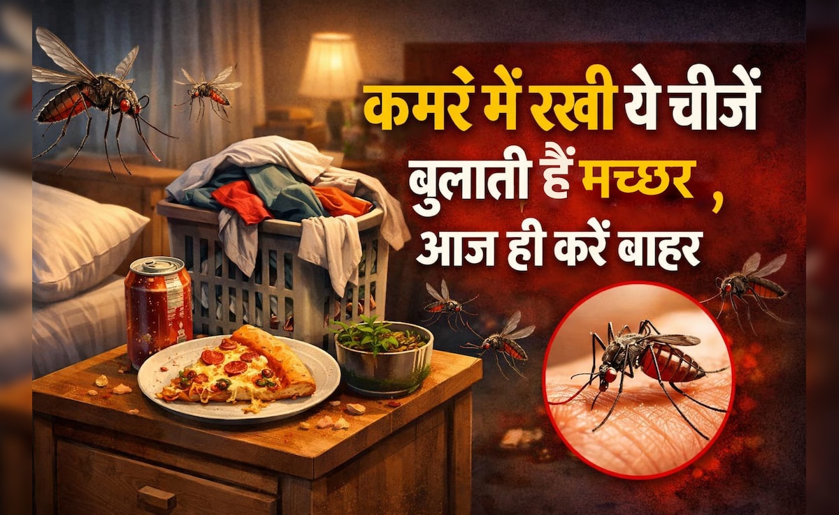 खूटी पर टंगे कपड़े और कमरे में रखी ये 5 चीजें मच्छरों को देती हैं न्यौता, आज ही करें बाहर