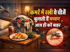 मच्छर भगाने के तरीके तो बहुत देखें होंगे, लेकिन जान लीजिए कमरे में रखी वो चीजें जो इनको देती है न्यौता