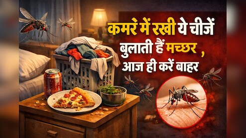 खूंटी पर टंगे कपड़े और कमरे में रखी ये 5 चीजें मच्छरों को देती हैं न्यौता, आज ही करें बाहर