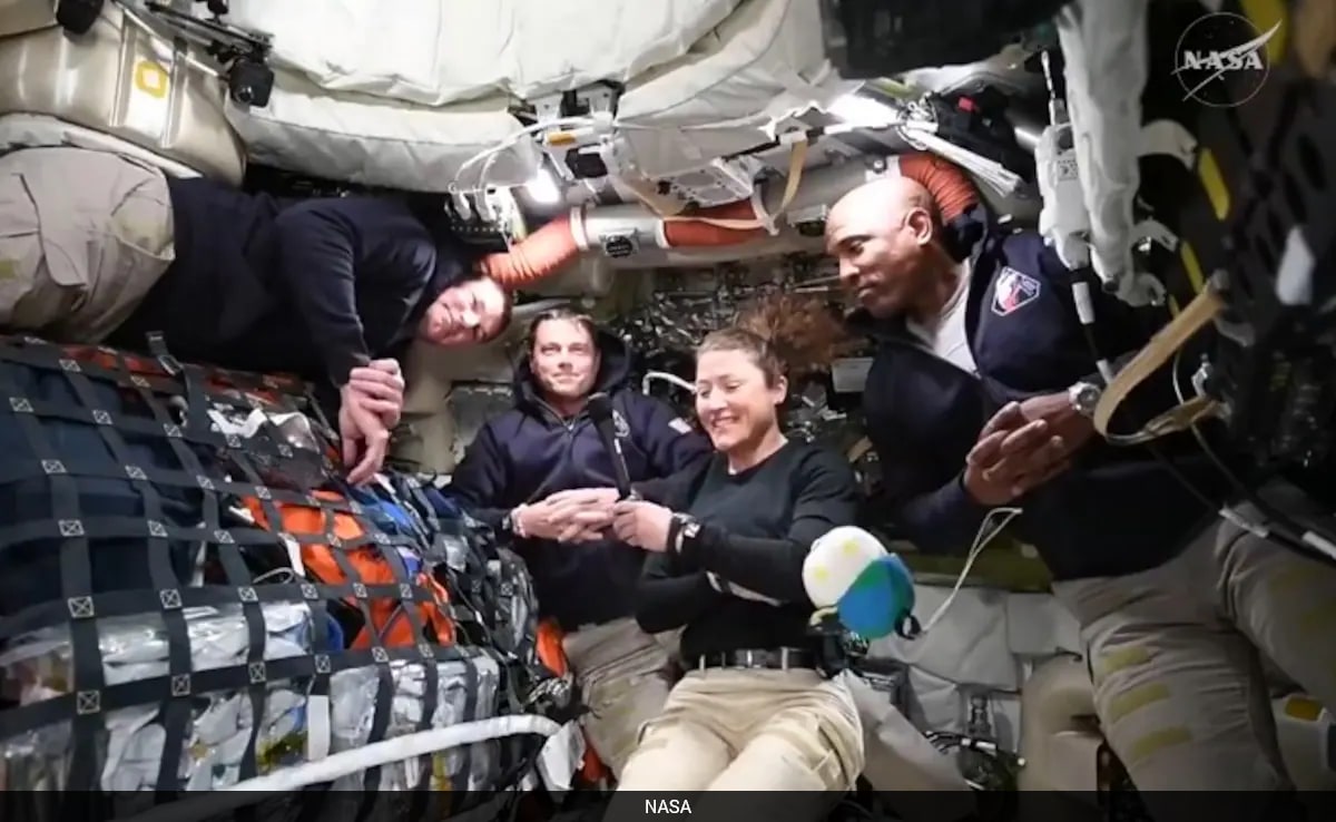 The Art of Baking: From Classic Bread to Artisan Pastries