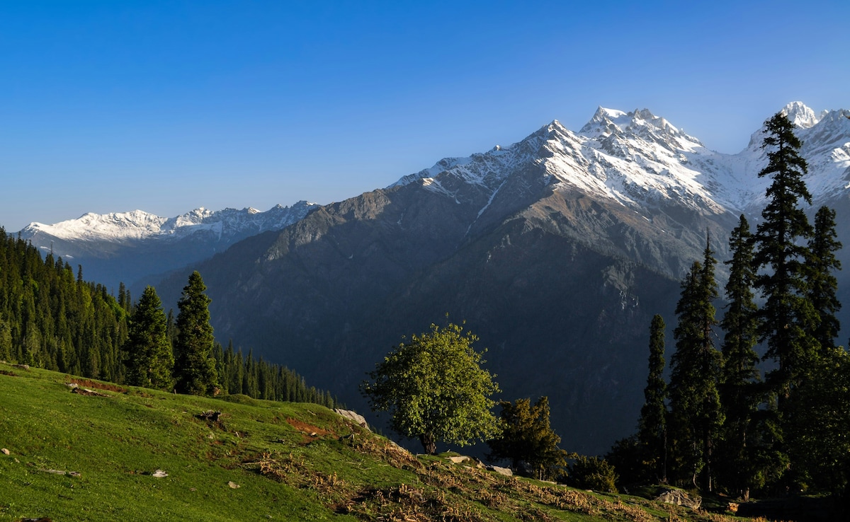 Latest and Breaking News on NDTV