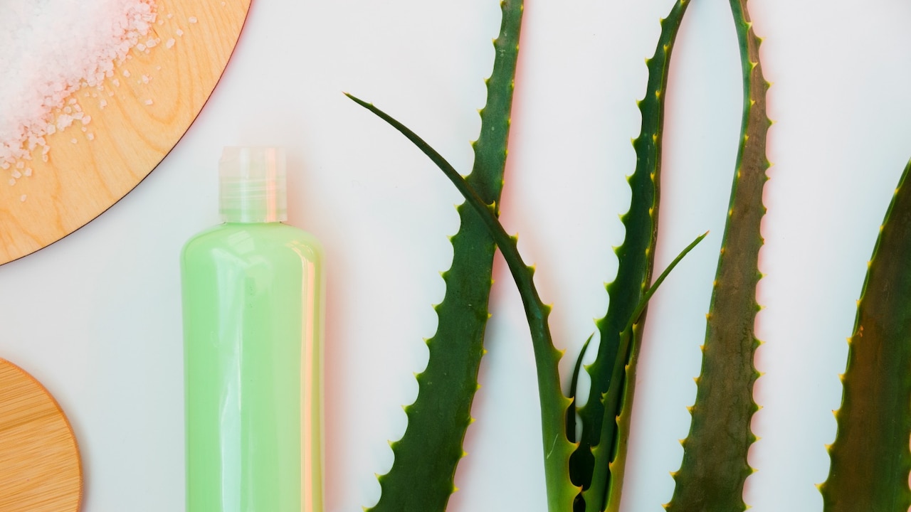 Best Aloe Vera Gels for Sunburn Relief Under Rs 500 This Summer.