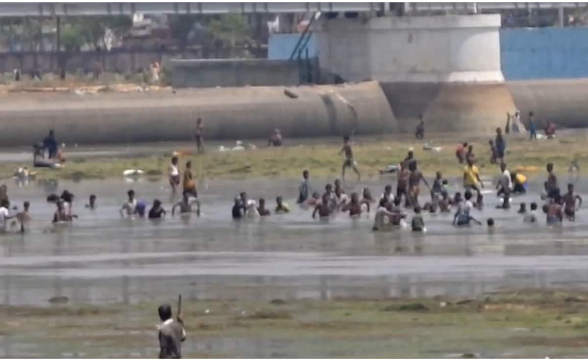 बिहार का ये 'पागलपन' देख आप भी माथा पीट लेंगे, मुफ्त की मछली के लिए नदी में कूद गए बच्चे