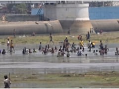 बिहार का ये 'पागलपन' देख आप भी माथा पीट लेंगे, मुफ्त की मछली के लिए नदी में कूद गए बच्चे