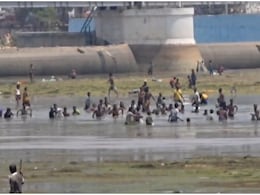 बिहार का ये 'पागलपन' देख आप भी माथा पीट लेंगे, मुफ्त की मछली के लिए नदी में कूद गए बच्चे