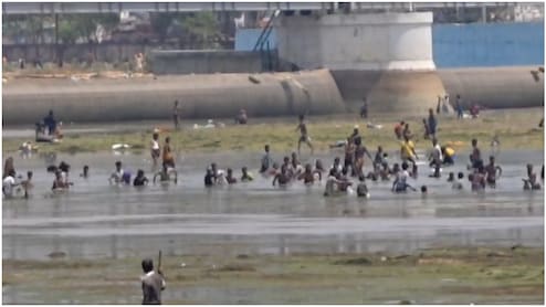 बिहार का ये 'पागलपन' देख आप भी माथा पीट लेंगे, मुफ्त की मछली के लिए नदी में कूद गए बच्चे