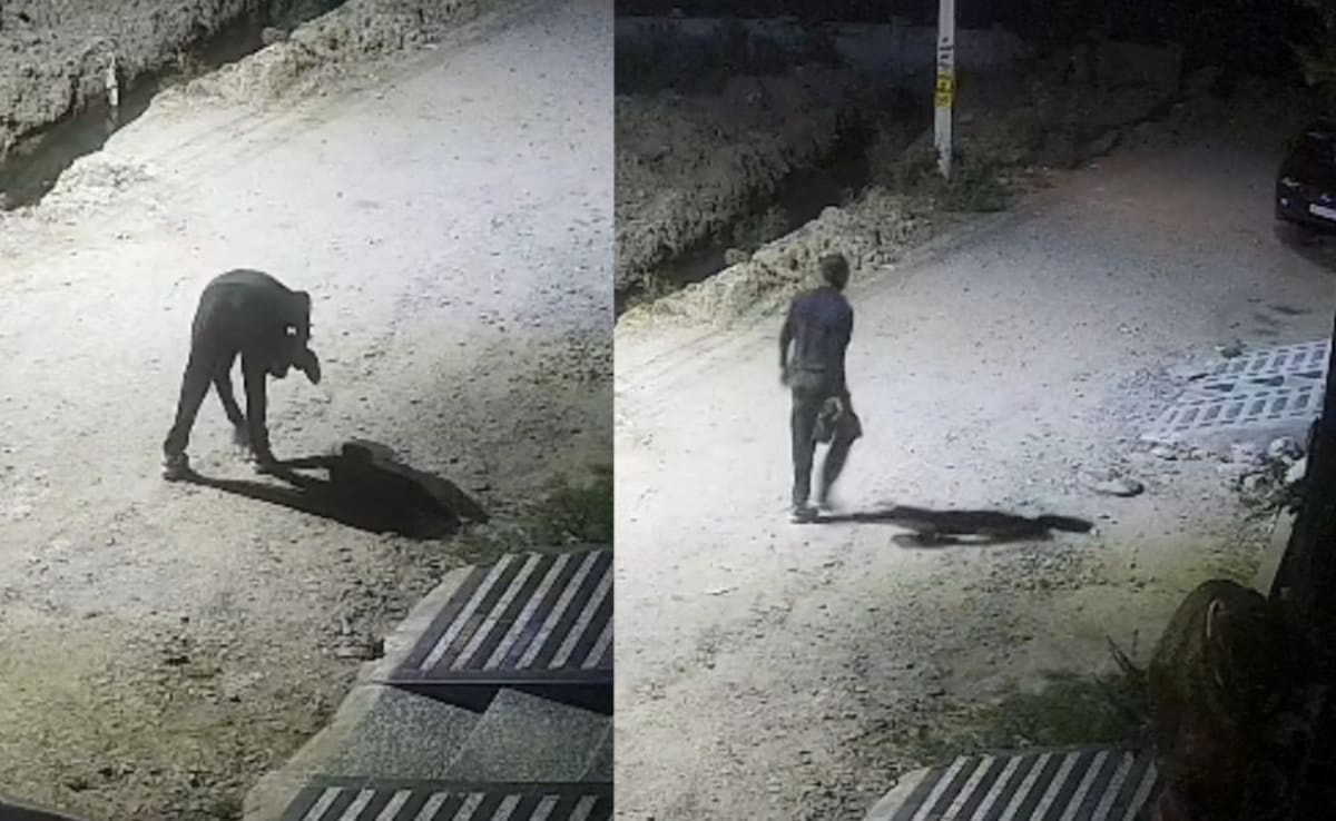 राजस्थान के अनोखे चोर, घर में घुसकर जूते ट्राई करते, फिट आते तो पहनकर चले जाते; गहने-पैसे को छूते तक नहीं