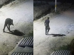 राजस्थान के अनोखे चोर, घर में घुसकर जूते ट्राई करते, फिट आते तो पहनकर चले जाते; गहने-पैसे को छूते तक नहीं